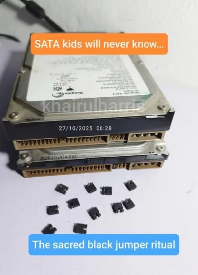 Corvus_Frugilagus - Tzw. Zworki