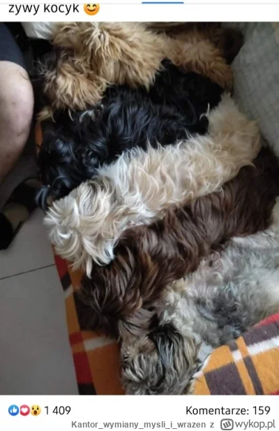 Kantorwymianymysliiwrazen - ( ͡°( ͡° ͜ʖ( ͡° ͜ʖ ͡°)ʖ ͡°) ͡°)
Bez tagów dla niepoznaki.