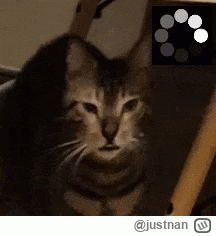 justnan - @Lujdziarski: