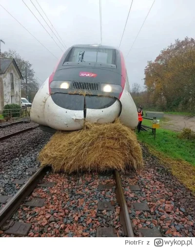 PiotrFr - Rzadkie zdjęcie roślinożernego TGV

#heheszki #kolej