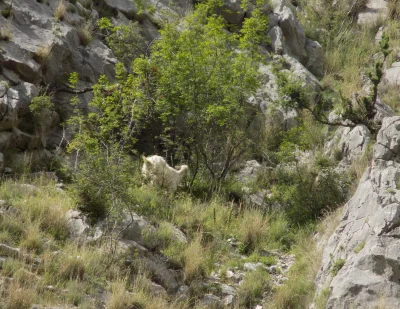 jutronaobiadznowuryz