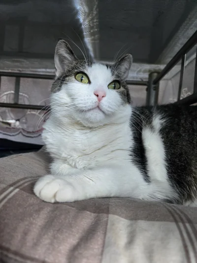 Solsith - @Spokoloko666: już chyba 11 będzie ( ͡° ͜ʖ ͡°)