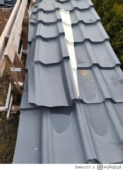 Zwierz33 - @biedny_huop a psu, kotu i kurom dach z takiej blachy huop zrobił. Kury to...