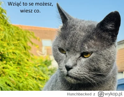 Hunchbacked - @Cisek44: Wziąć to se możesz.