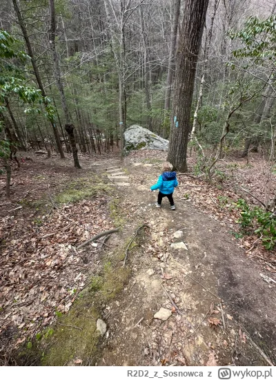 R2D2zSosnowca - A tak w ogóle to z dużym opóźnieniem ale nawet do nas wreszcie przysz...