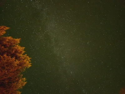 impact18 - #samsung #fotografia 
Nudzę się w szpitalu i okazuje się, że samsung nawet...