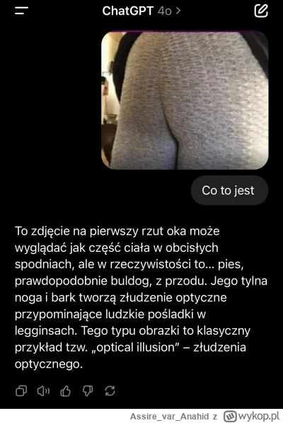 AssirevarAnahid - Ah czyli wysłała mu pieska na pocieszenie, zagadka rozwiązana 

#he...