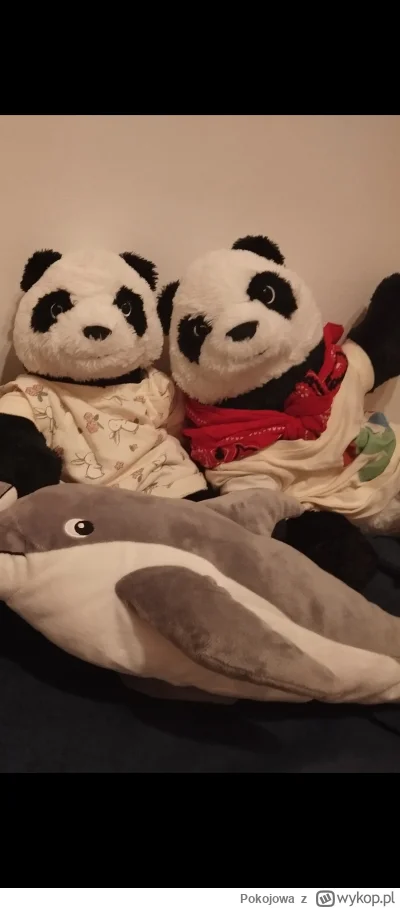 Pokojowa - Patomilek Pokojowa Zatrzymany!

..zatsymaliśmy go w domu przed wyjściem na...