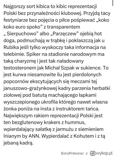 BoroPrimorac - #mecz #reprezentacja