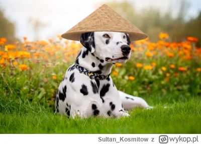 Sultan_Kosmitow - @titelituryXNAHH