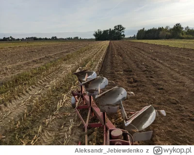 Aleksandr_Jebiewdenko - #sejm brawo Szymon