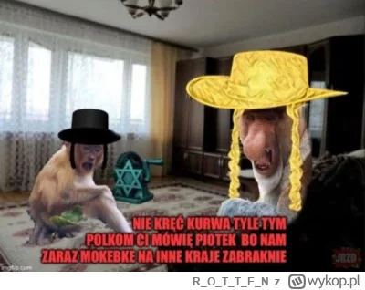 ROTTE_N - #heheszki #zydkrecikorba