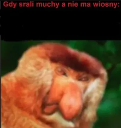 koneserprogresywnegodiscopolo - @PanTuNieMieszkasz: