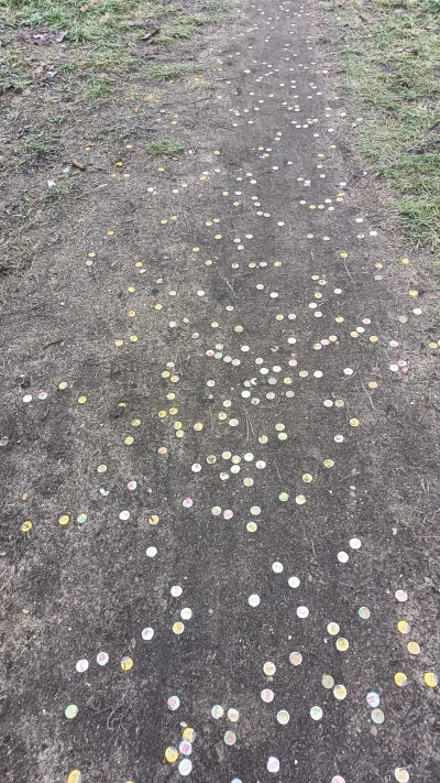 vieniasn - powiatowe ścieżki bywają kapslami wybrukowane