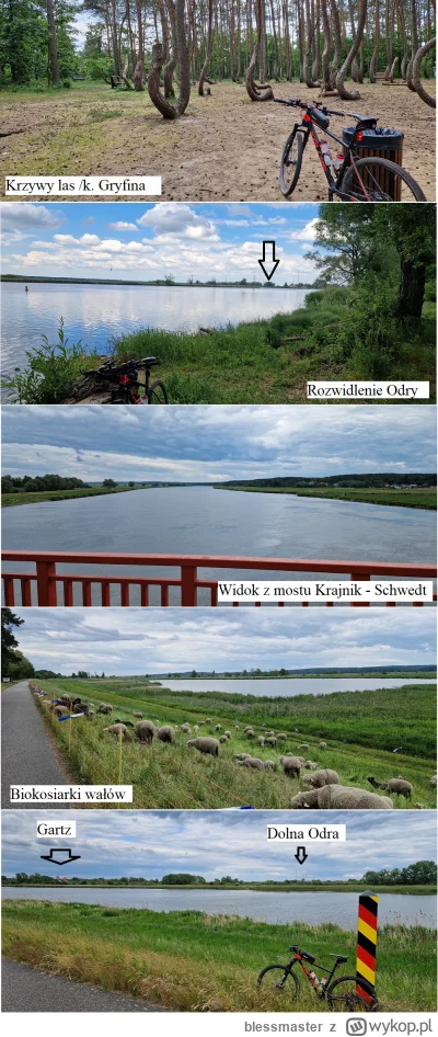 blessmaster - 207 323 + 125 = 207 448

Hejo, na dziś zaplanowałem malowniczą trasę Sz...