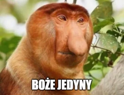 panDario - @poradnikspeleologiczny: