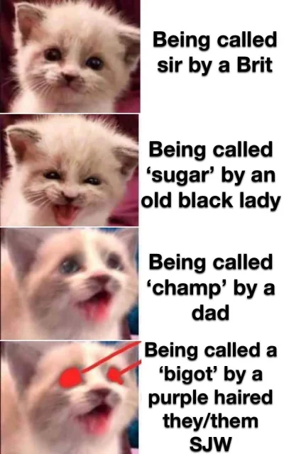 FreakingAwesome - #kotki #kitku