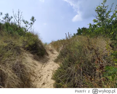 PiotrFr - Może tu i bunkrów nie ma

#francja #francjadasielubic #podroze #pdk