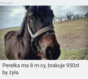 dziewiczajajecznica - #przegryw #pieniadze #bieda
Źle się dzieje w państwie, skoro na...