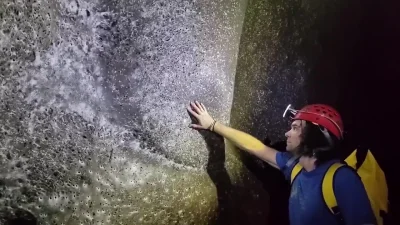 gerwazy-oko - Największa na świecie sieć pająków odkryta na granicy Grecji i Albanii ...