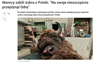 VtaurusV - >Wilk zagryzł Urszulce ukochanego kucyka Dolly stąd ta cała afera:
"W 2022...
