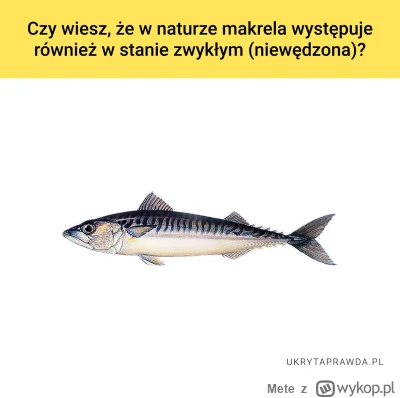 Mete - @KarnetNaGlony: