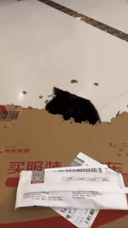 jestemtakizmeczony - 07 zarloczna czarna dziura