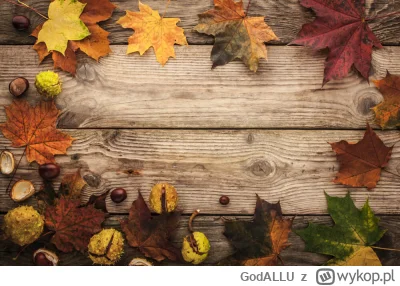 GodALLU - #perfumy 
Jesień się zbliża wielkimi krokami co za tym idzie według mnie na...