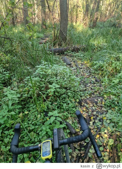 kasin - 624 721 + 71 + 9 + 57 + 48 + 23 + 2 + 61 + 36 + 46 + 43 = 625 117

Ostatnie d...