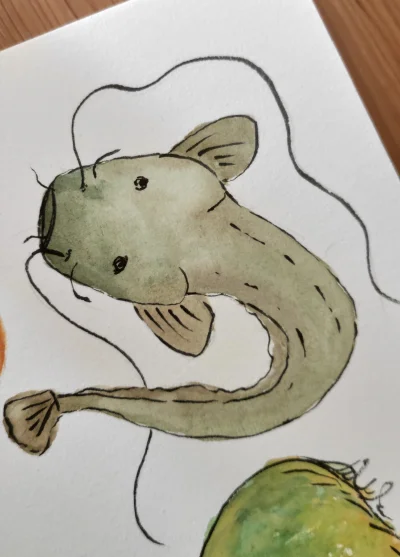 tabula_okrasa - Dzień dobrerek wszystkim └[⚆ᴥ⚆]┘ lets goooł!
1. Mustache - no najpięk...