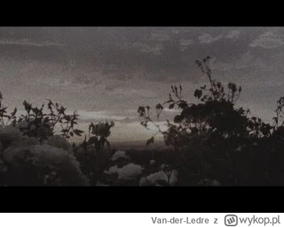 Van-der-Ledre - Połowa smutków utopiona w szklance, połowa łez wylana. Wszystko jest ...