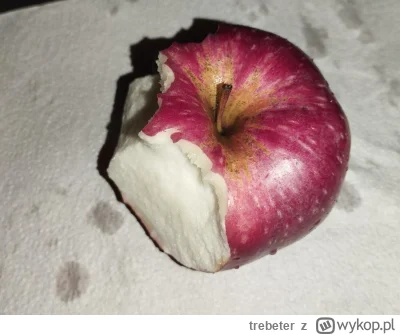 trebeter - #mecz poszedłem po japko i strzeliliśmy bramkę
nie dziękujcie
jakby co to ...