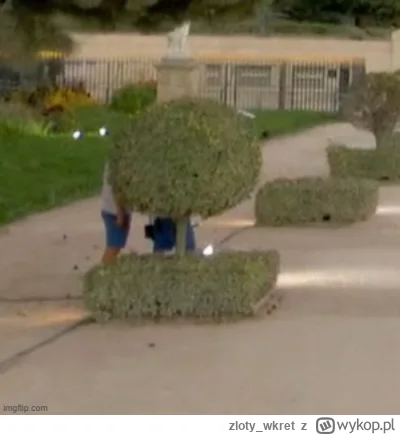 zloty_wkret - #paryz2024 
widzę was