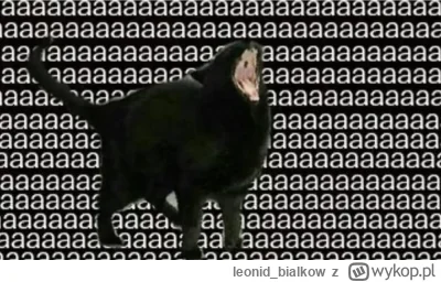 leonid_bialkow - AAAAAAAAAAAAAAAAAAAAAAAAAAAAAA