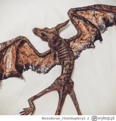 Nessiteras_rhombopteryx - #gabinetosobliwosci #smoki
SPOILER