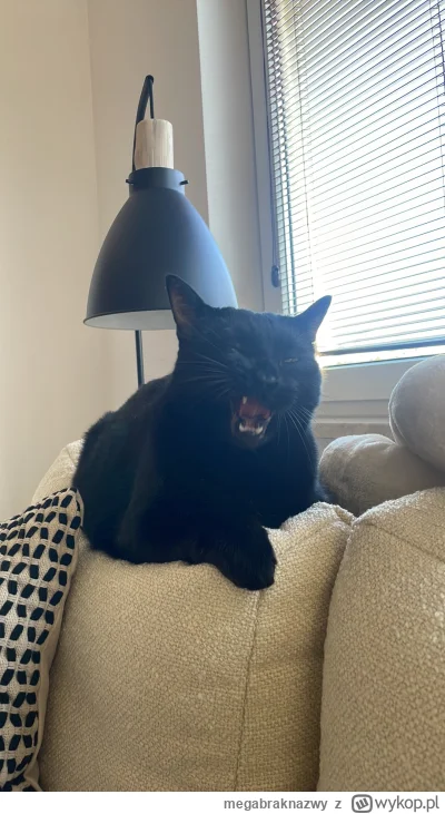 megabraknazwy - a dzień dobry :3