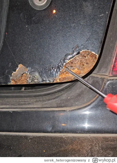 serek_heterogenizowany - Eh z ciekawości sprawdziłem co kryje się pod purchlami lakie...