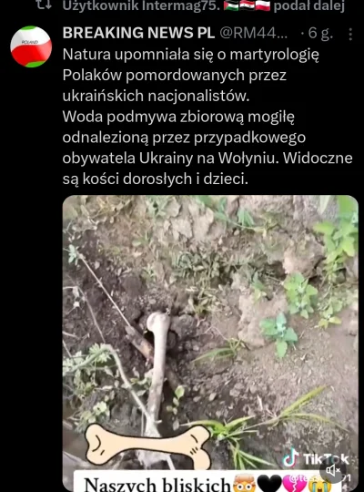 PavulonRazPavulonDwa - A na tym foto PRAWDZIWE WIADOMOŚCI DLA PRAWDZIWYCH POLAKÓW ( ͡...