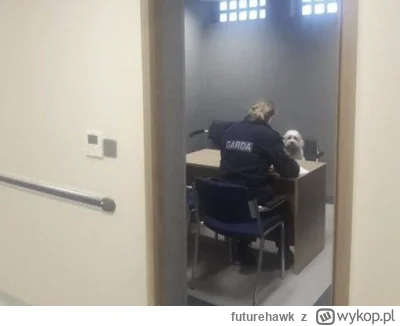 futurehawk - Z ostatniej chwili, Fredi jest przesłuchiwany w Irlandii
#heheszki