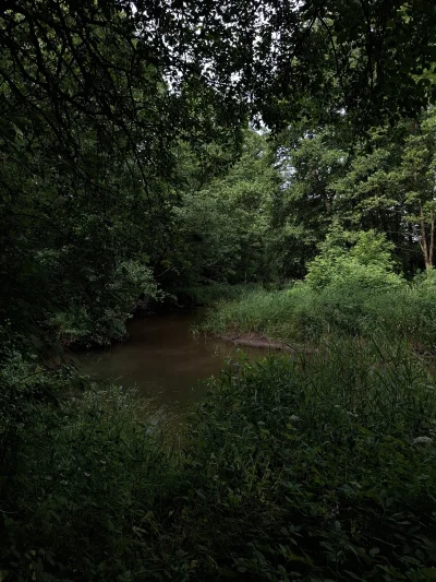 Outism0 - #przegryw #spierdotrip