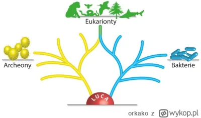 orkako - To żeby byłoby bardziej skomplikowanie, to Jesteśmy jednocześnie archeonami ...