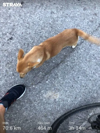 ChlopoRobotnik2137 - 754 026 + 71 + 5 = 754 102

Wczorajsza wyprawa, zeby poglaskac o...