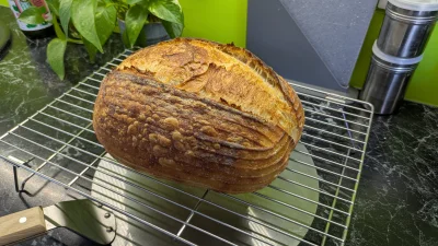 Owlosiaty-Dzik - dzień dobry #bojowkapiekarska 

#pieczzwykopem #gotujzwykopem #chleb