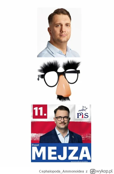 Cephalopoda_Ammonoidea - @arkadiusz-nicki: ot, cały PiS