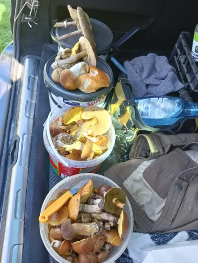 mateusz-uwu - @RozwiewamyTajemnice To nie jest sport, to tradycja przekazywana z poko...