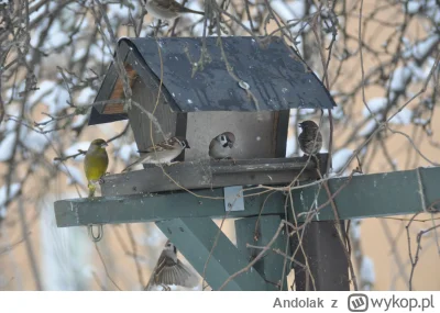 Andolak - Mam i ja!