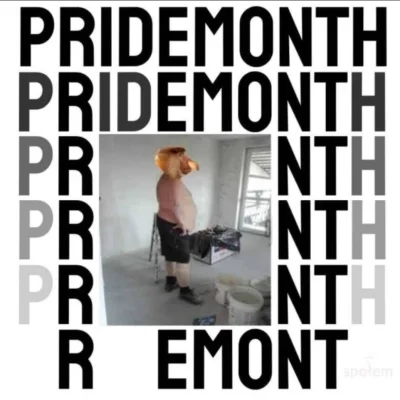 kasza332 - #pridemonth #polakicebulaki #heheszki