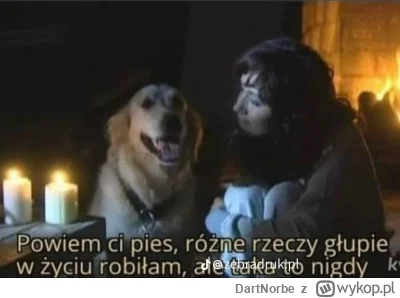 DartNorbe - Mireczki, za chwilę start pierwszego dnia stażu na Oddziale Dziennym dla ...