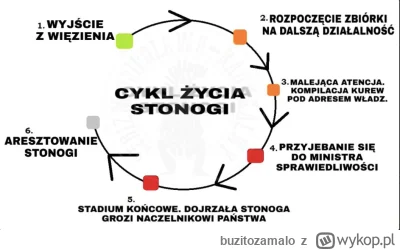 buzitozamalo - #stonoga #stonogacontent #polska