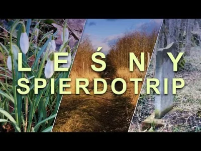 HuopWsiowy - PIERWSZY PRZEGRYVLOG ZE SPIERDOTRIPU SOBOTNIEGO.
Jak wielu z was wie, w...